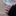 darkgray-flamingo-113230.hostingersite.com